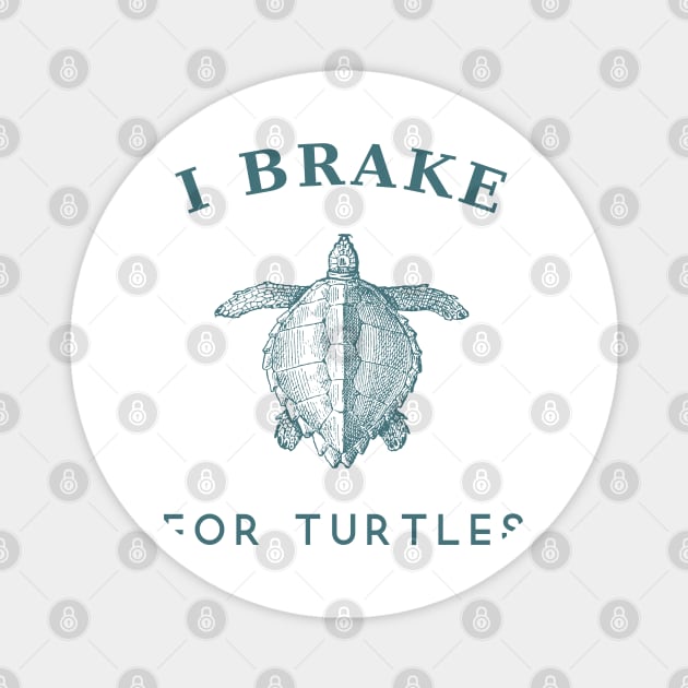 I brake for turtles Magnet by Noureddine Ahmaymou 